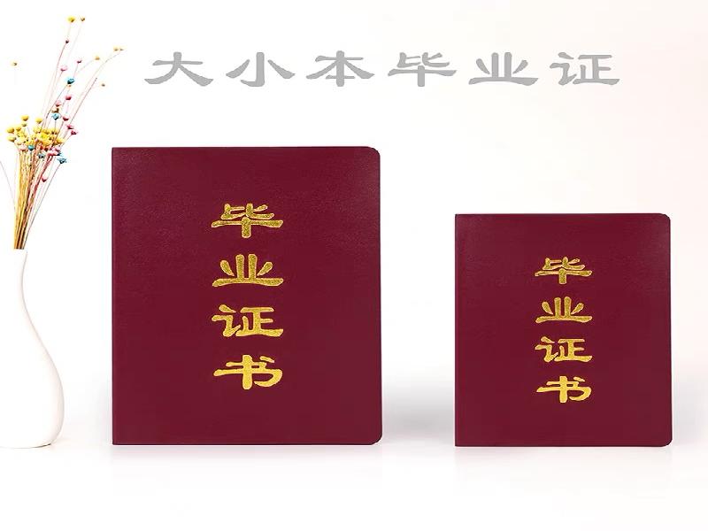 2023年服务体系